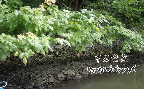 格賓網(wǎng)生態(tài)護(hù)岸 格賓網(wǎng)生態(tài)護(hù)岸