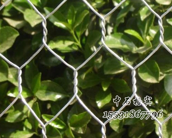 鍍鋅格賓網(wǎng) 鍍鋅格賓網(wǎng)