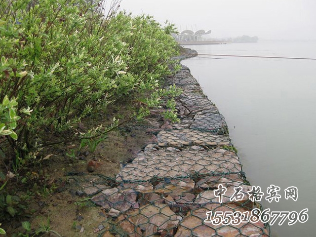 鍍高爾凡賓格網(wǎng) 鍍高爾凡賓格網(wǎng)