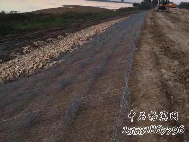 高爾凡雷諾護墊