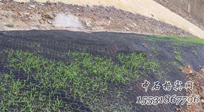 鍍高爾凡加筋三維植物網墊